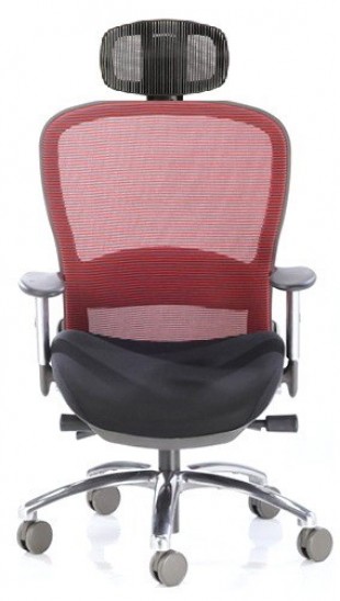 Echair color c/cabezal - Syncro